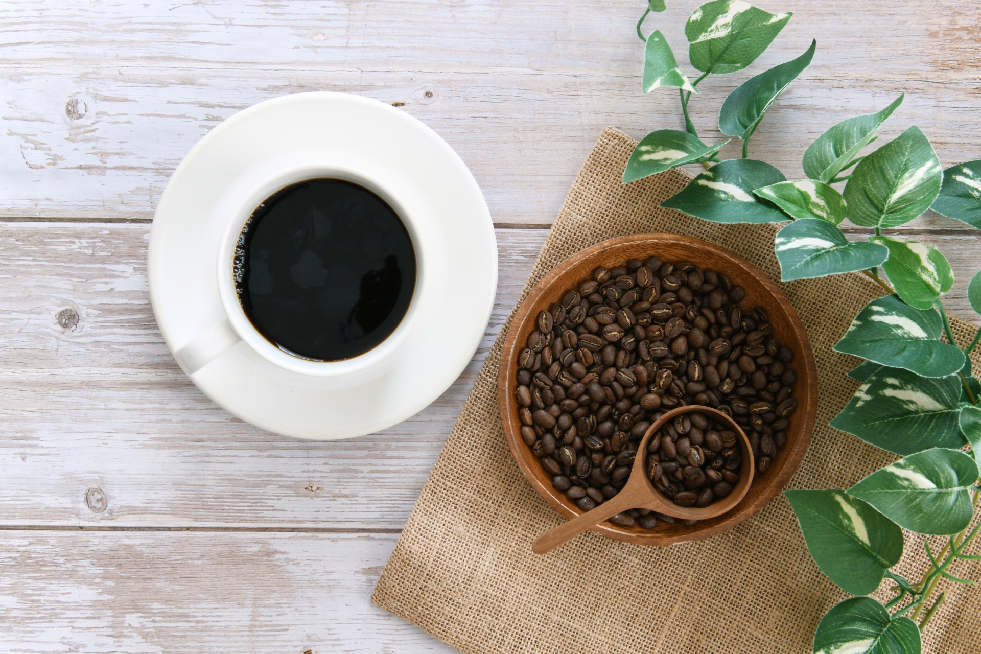 飲食系コンサルタント